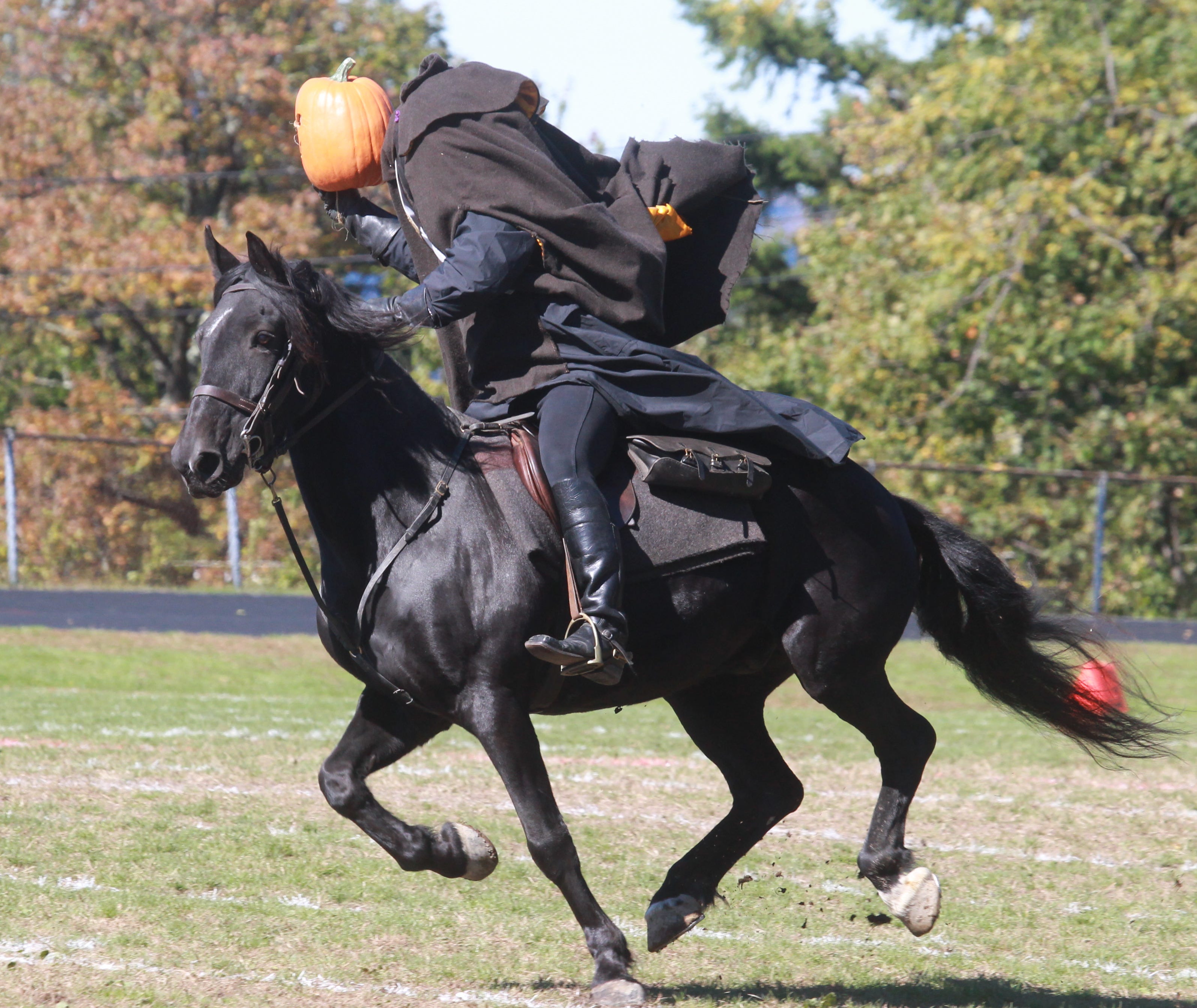 Manny the Headless Man-Horse